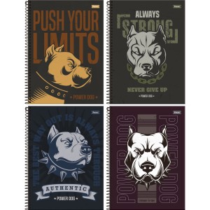 Caderno 15 Matérias Power Dog 240fls Foroni