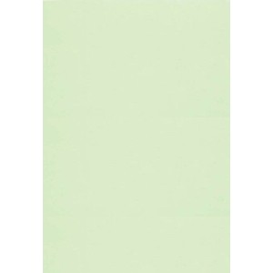 Papel Cartolina 150g 50x66cm - Verde