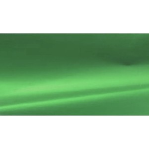 Papel Cartolina Laminada 49x59cm - Verde Bandeira