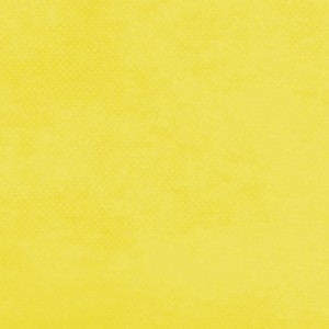 TNT Liso 40g - Amarelo (1,40m x 50m)